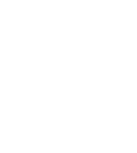 Taurus Home Inspections